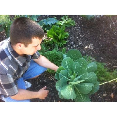 Holiday Oasis Garden