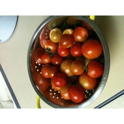 Moatt's Natural Harvest