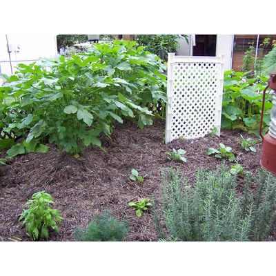 Captnstrat's Sea Produce