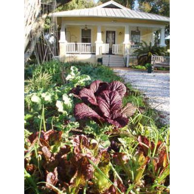 The Village Gardener