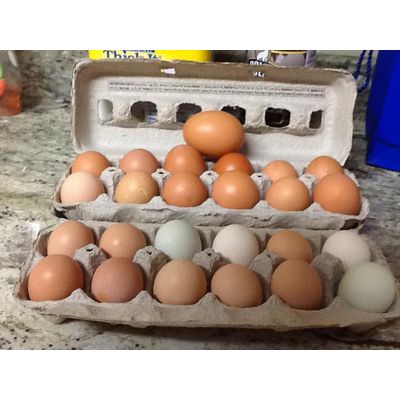 Floridosa Paradise Ranch