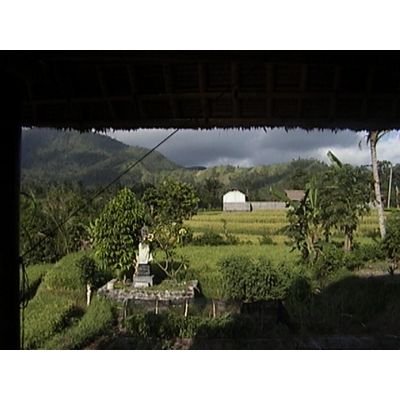 Beautiful Bali Gardens