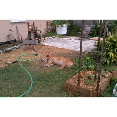 Sioux's City Gardens