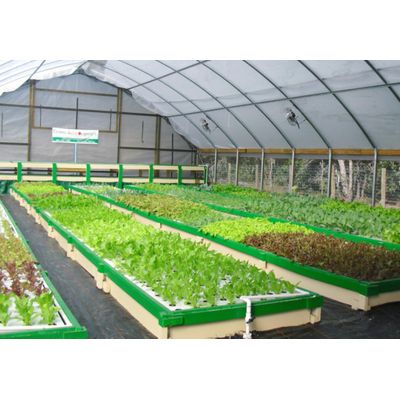 Green Acre Aquaponics